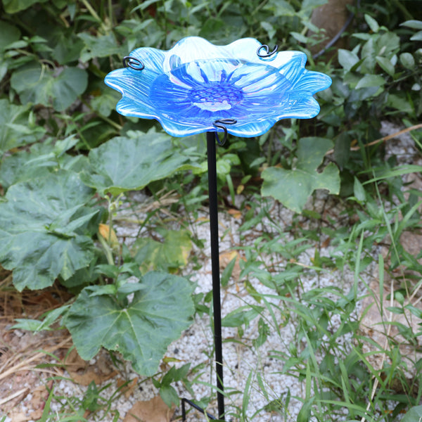 AnnaStore Bird Baths for Outdoors Glass Birdbath