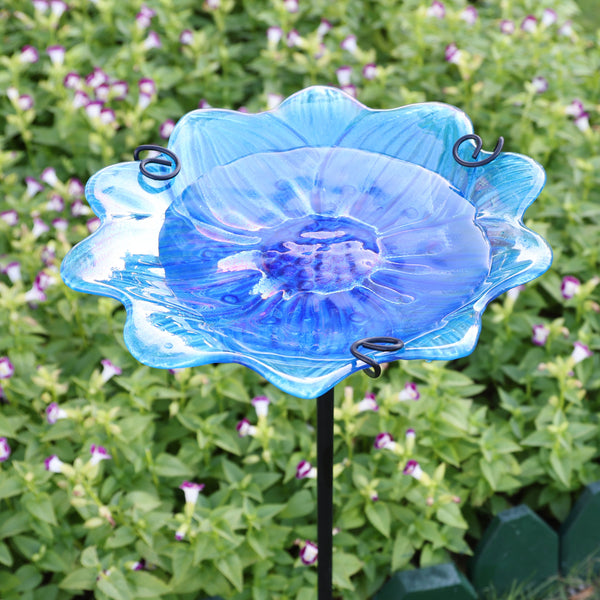 AnnaStore Bird Baths for Outdoors Glass Birdbath